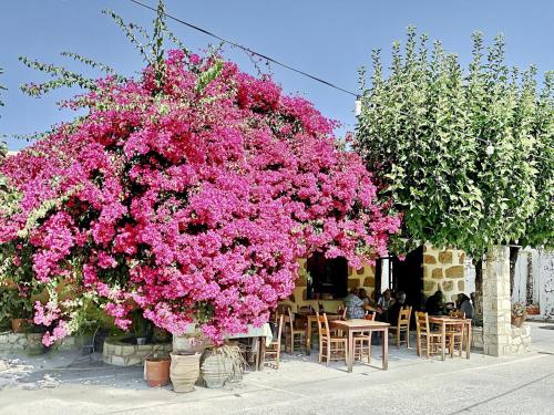 Villa Olivia with Pool Vrises Crete