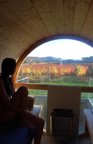 Hotel Tudanca-Aranda II in Aranda de Duero