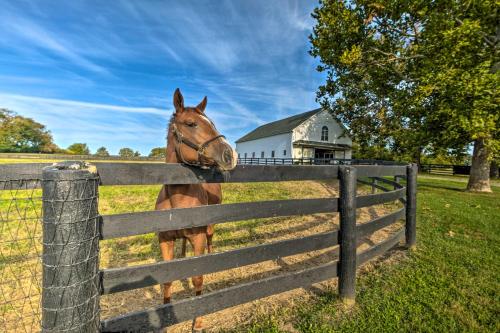 Homey Horse Farm Hideaway about 6 Mi to KY Horse Park! in Lexington, USA