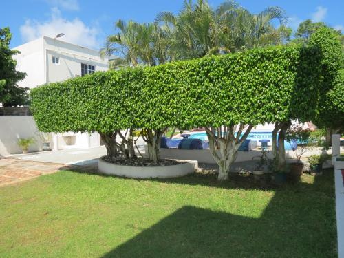 Hotel Albri by Rotamundos in Tecolutla, Mexico