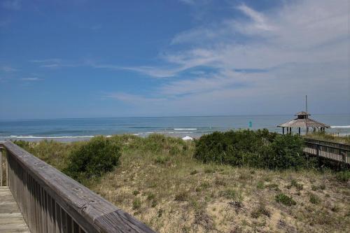 Seashells 447 - image 2