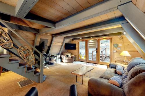 Under The Trees in Sonora