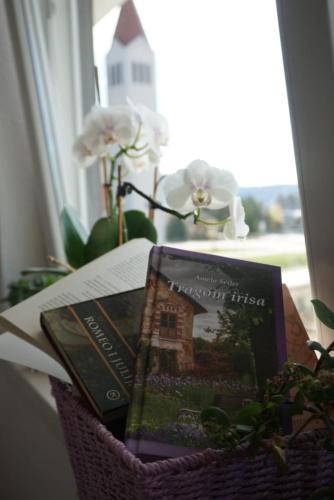 Apartman Perunika - image 14