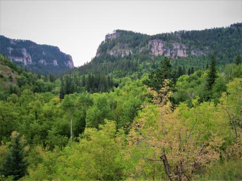 Spearfish Canyon Lodge