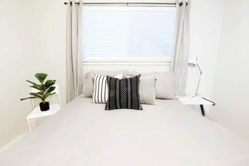The Resting Space + FREE ARBORETUM TICKETS in Dallas, USA
