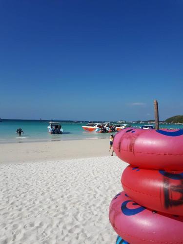 Seasmile kohlarn – Koh Lan, DC