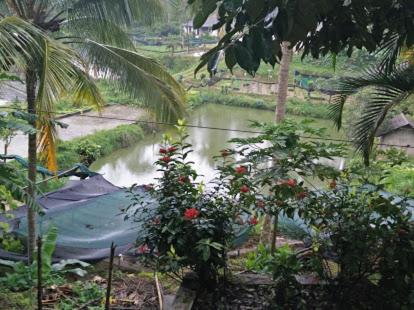 Devarakadu Valley View