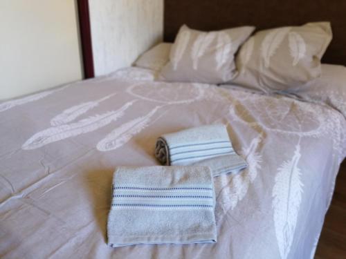 STUDIO 2 hyper-centre de LIMOGES