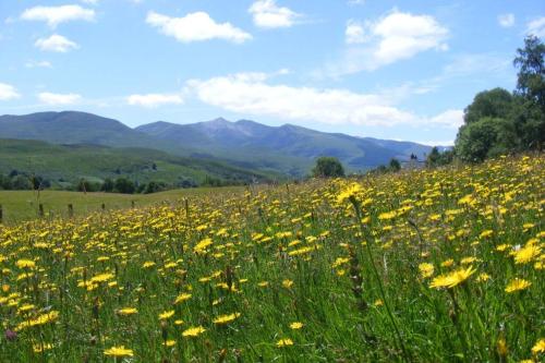 Glas Doire Lodge, Glen Roy Nature Reserve in Ройбрідж