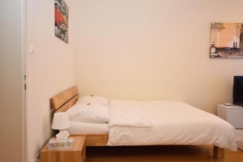 Nice studio in the city center - Vineyard 11, Curych (fotografie 2)