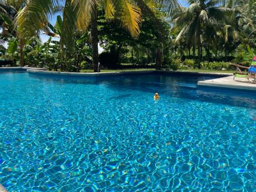 Sand Dollar Beach Bed & Breakfast - Bastimentos