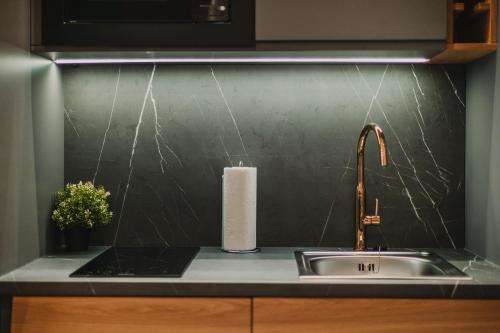 Zeus Design Apartments Prater, Vienna (photo 8)