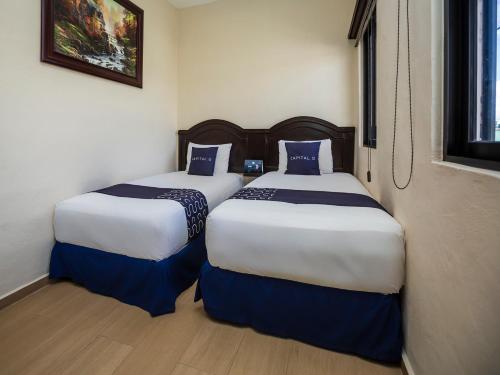 Woo Rooms Hotel in Mérida, Mexico