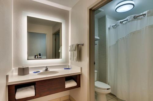 Holiday Inn Express Hotel & Suites - Atlanta/Emory University Area, an IHG Hotel