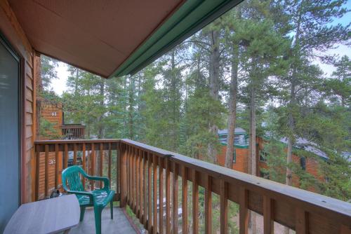 Peak 8 Village Retreat Condo: Great Year-Round Location - image 5