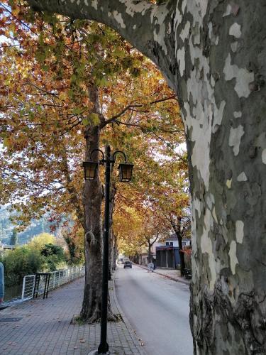 Sobe Stolac - image 5