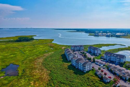 37185 Harbor Dr #3704 Ocean View - image 12