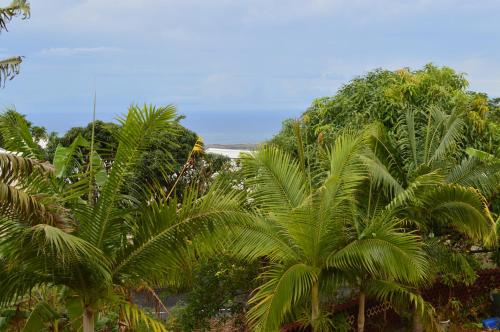 Grand T3/4 - Ste Clotilde
