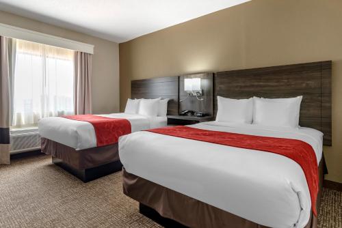 Comfort Suites near Robins Air Force Base - image 10