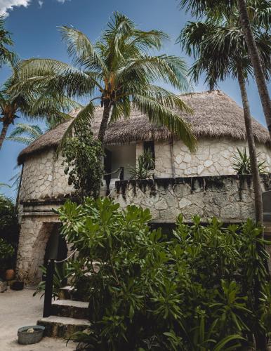 NEST Tulum