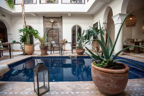 Riad Farhan