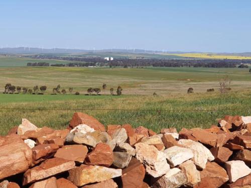 Apkārtne, Belalie Wines in Jamestown