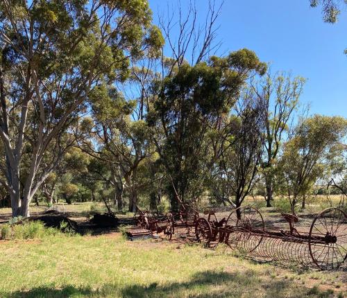 Belalie Wines in Jamestown