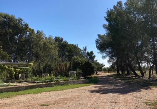 Belalie Wines in Jamestown