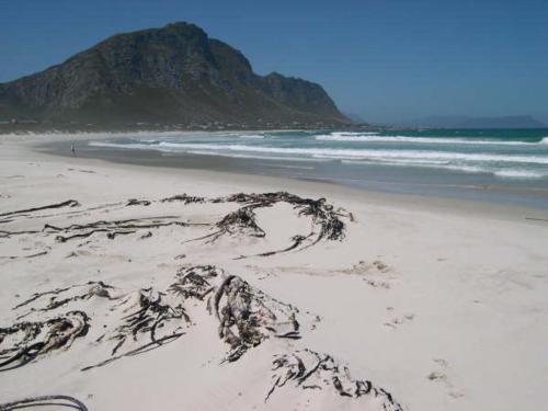 Jocks Place (on the sea), Bettyʼs Bay (fotografie 7)