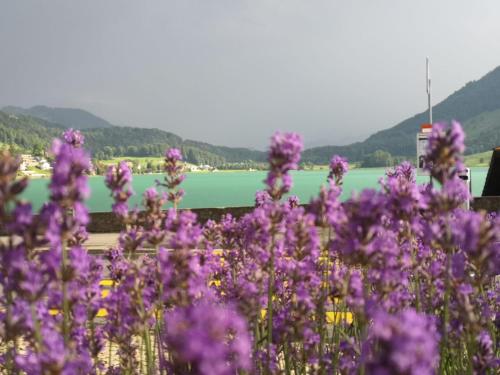 Hotel - Restaurant Eierhals am Ägerisee