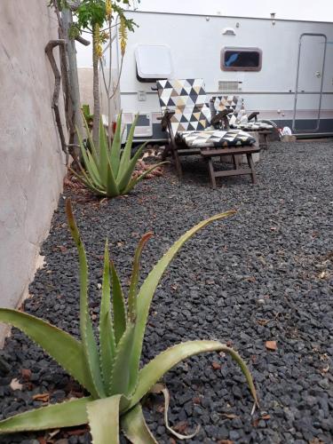  "Lapa" Caravan Apartamento in Tinajo