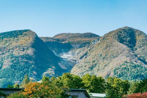 Onsen Guesthouse HAKONE TENT