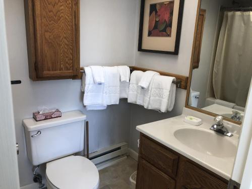 Mountainside Resort III - image 5