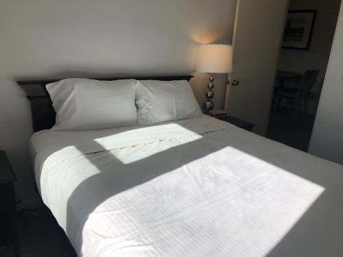 Mountainside Resort III - image 13