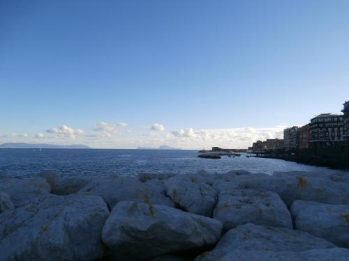 International Naples - main image