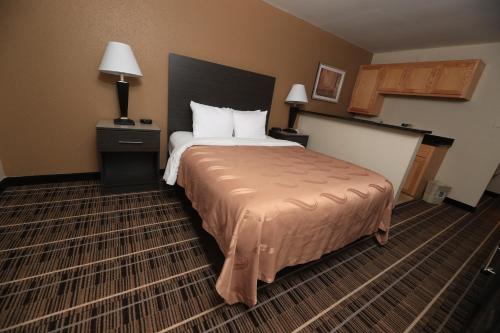 Quality Inn DFW Airport North - image 35