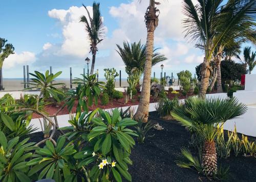 Hotel Las Costas - image 12