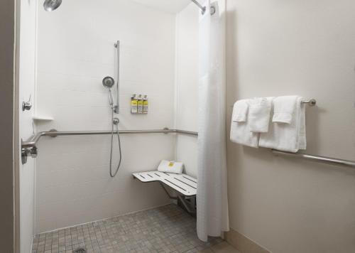 橄榄枝智选假日酒店 橄榄枝智选假日酒店