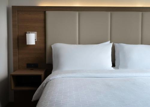 橄榄枝智选假日酒店 橄榄枝智选假日酒店