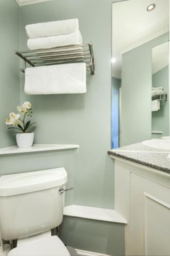 Ice Cream Suite - main image