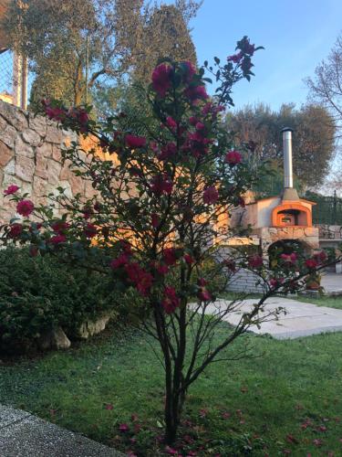  B&B Damiano, Unterkunft in Crespano del Grappa