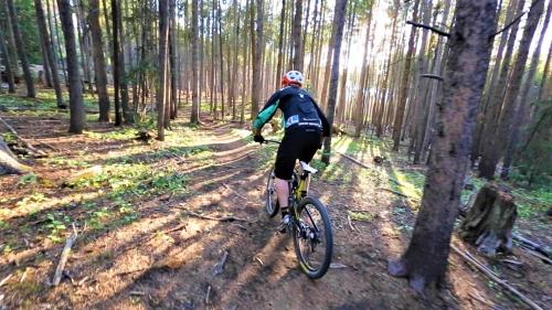 Coyote Village 8 - image 14