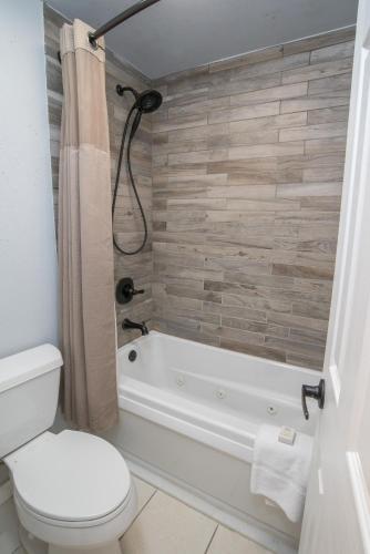 Coyote Village 8 - main image