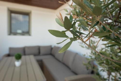 Terinikos Sunny Garden Hotel & Junior Suites - image 3