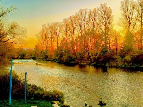 Rhein Romantik riverview - main image