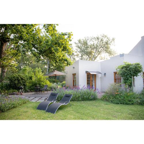 Languedoc, Stellenbosch (foto 6)