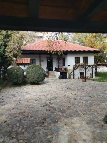 STAN na DAN PEX - image 9