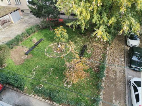 STAN na DAN PEX - image 5