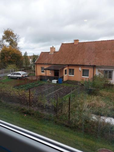 Lyubava - main image