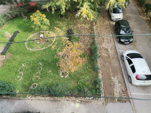 STAN na DAN PEX - image 8